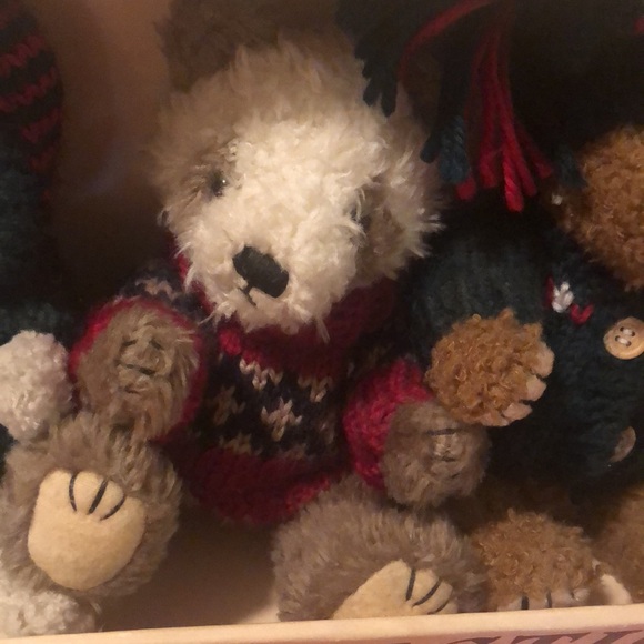 Teddy Bear Collection - Picture 12 of 14
